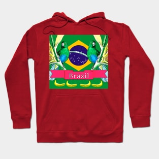 Nation Brazil the Republic of Christ the Redeemer Rio de Janeiro Hoodie